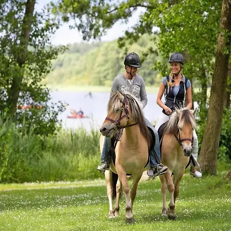 Skandinavisches In Mirow Hébergement de vacances